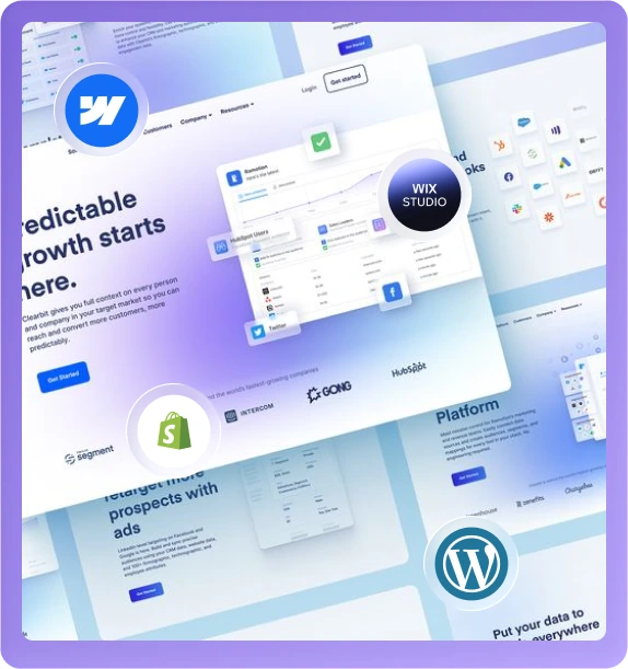2. Custom Web Applications